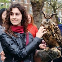 Dr. Eugenia Romano (@eugenia_romano) 's Twitter Profile