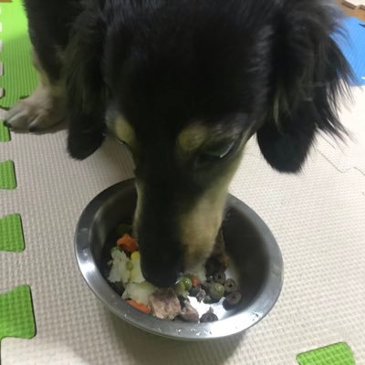 I_wish_forever's profile picture. ユニバ年パスグランロイヤル🌏友近さん・水谷千重子先生・西尾一男ちゃん（ファンクラブ友の近の会🖋️ともニー✨）まめちゃん🌱 （メンシプまめクラ🥒まめっ子🌱） ロバート秋山さんもMAF😆犬好きミニチュアダックス飼ってます🐶殺処分、保護犬についてもっと日本に広まる事を願ってます🙏無言フォロー失礼します🙏