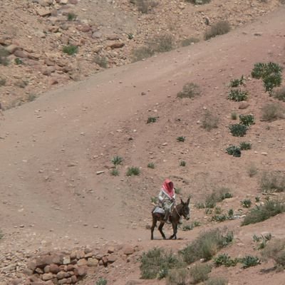 aarrvviiss's profile picture. 