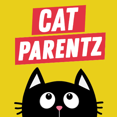 A Cat Parents guide to Gadgets, Gear and Novelties. 🕵😺💕 Also your daily dose of cats 😻 DM us your furballs for a feature!