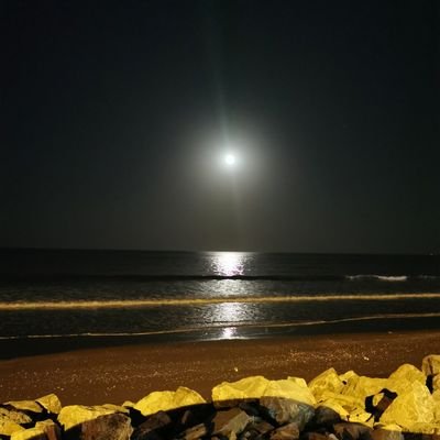 Ahmad49352272's profile picture. ‏ا