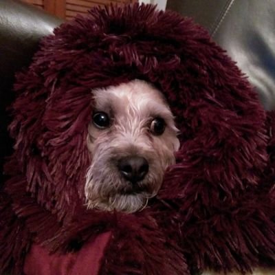 DJHiggyS's profile picture. 
