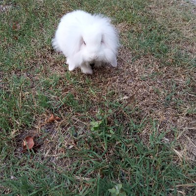 frandeo's profile picture. disfrutar de la vidad