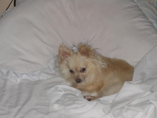 tahione26's profile picture. 