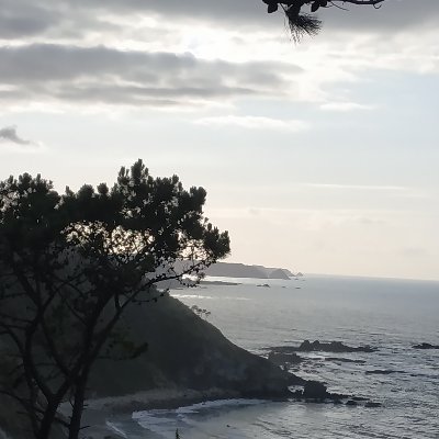 cudillero08's profile picture. Fisioterapeuta