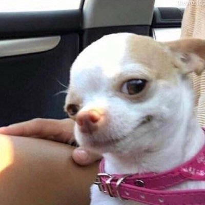 it’s me, @iamashtongirl, that’s my private account. Just here to talk about my life
