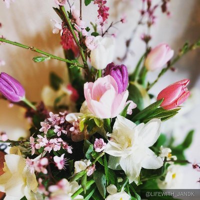 SD Born | PNW Living | Lifestyle, Reviews & Food Blogger | Filipino at 💓 | Computer Engineer | Photographer |