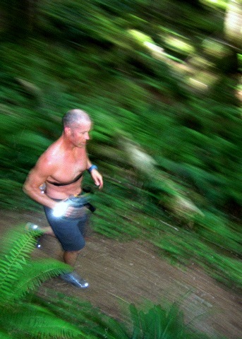 Seeker, cancer survivor, and owner of Free Rein Athletics, a health, fitness, and performance company in Seattle, WA. Alter ego: @racesherparises
