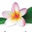 SistersGrace's profile image