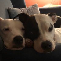 Elisabeth Oei (@elisabethoei1) 's Twitter Profile