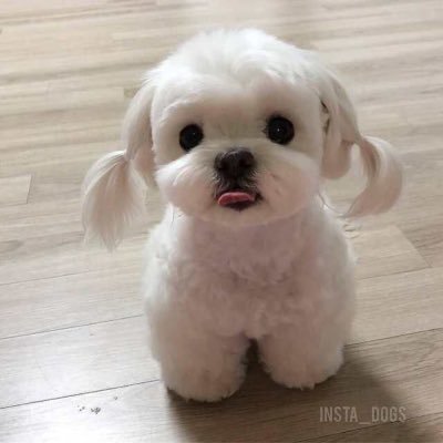 needs serious help