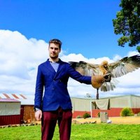 Harry Sanders (@harrysandersseo) 's Twitter Profile Photo