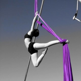 DianeZizka's profile picture. Studio Artist based out of Las Vegas