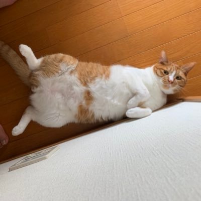 兄@視野60%消失　視力50%低下さんのプロフィール画像