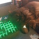 ChrisBusta - @ChrisBusta3 - Twitter