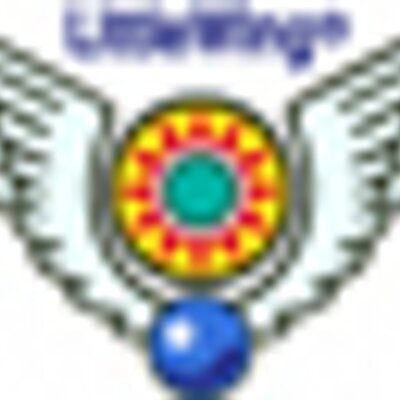 LittleWingCoLTD's profile image