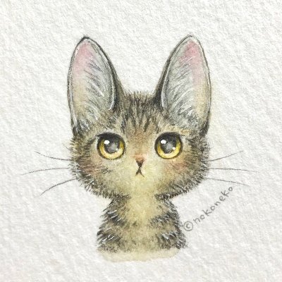 kumada8901's profile picture. 猫と京都が大好きですが、最近は京都の混雑ぶりに怖気づいて
なかなか行けてません、ライブカメラで眺めている今日この頃です。
無言フォローごめんなさい。
投資や起業、副業やお金配り、アダルト系に興味ありませんので、
お返しフォローは出来かねます。