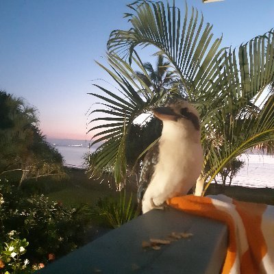 kieronryan's profile picture. 