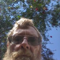 geoffery bradford (@geofferybradfo1) 's Twitter Profile