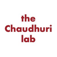 the Chaudhuri lab(@theChaudhurilab) 's Twitter Profileg