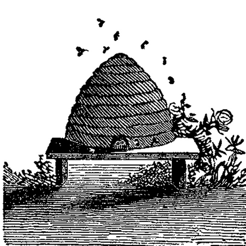 UNSCANNABLE33's profile picture. 