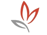 Sociedad Cooperativa de Trabajo dedicada a Formación (técnica,instaladores,gestión...), Cosultoria (TIC, gestión y emprendedores,empleabilidad) y otros .