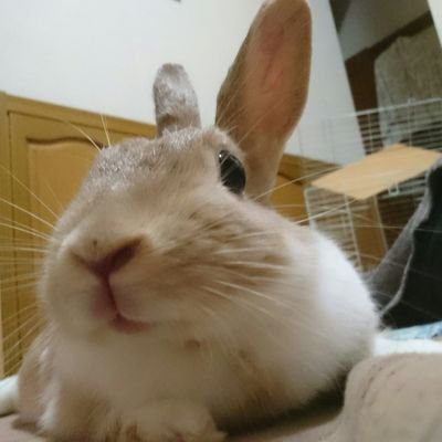 akisukeさんのプロフィール画像