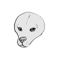 チターチ (@49__4) 's Twitter Profile Photo チターチ (@49__4) 's Twitter Profile Photo