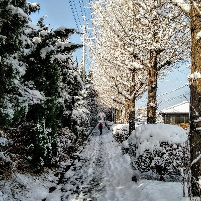 私はこの地球の地に足を着けて生きる、地球人でありヤポネシア人である！ロボットではありません！
まなばんずの政治家の人達よ、地に足を着けて生きよ！ウソとゴマカシで人々を苦しめるのをやめましょう！お金でお友達を作るのやめましょう！
チェルノブイリの時から反原発です！ちょこちょこ音楽活動もやってま
す！