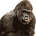 Uganda Tour Operators (@ugtouroperators) Twitter profile photo Uganda Tour Operators (@ugtouroperators) Twitter profile photo