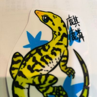 大阪のトラック乗りですd(^_^o) 趣味はバイクと爬虫類かなw 今飼ってる子は、イエローヘッドモニタースクリーマー と、マングローブモニターの2匹です!最近はソフビにもハマってますw