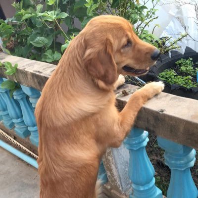 ballz8899's profile picture. Omg