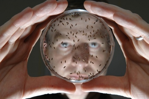 wynndoze's profile picture. 