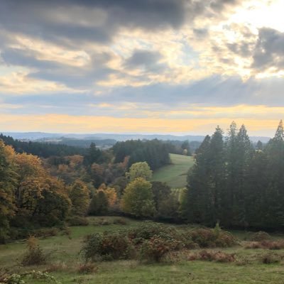 pinoypinotnoir's profile picture. 🇵🇭