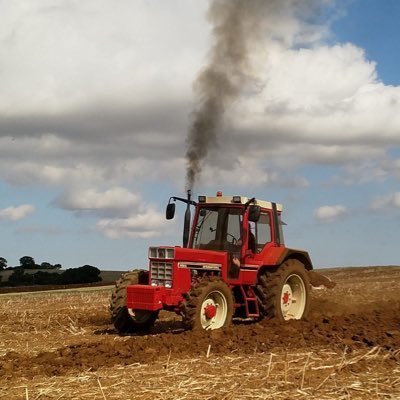 paulfree7's profile picture. Born at a very young age,,,, Good Samaritan, washed-up athlete, especially gifted napper.