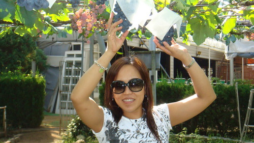 lanisaizu's profile picture. cool, hardworking, lovable, the bestfriend daugther sister all over the world