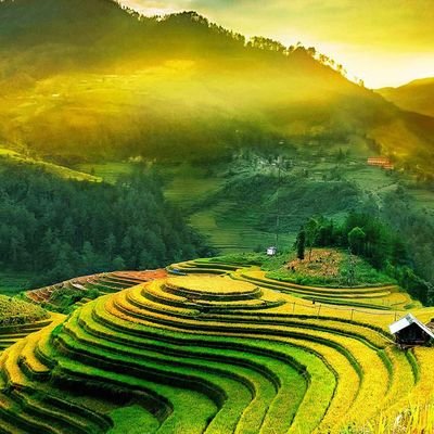 fuencis0710's profile picture. 