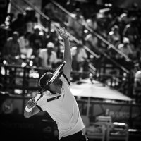 Carlos Gomez-Herrera (@xarlygomez) 's Twitter Profile