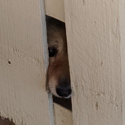 _8_legs_'s profile picture. everyone tells me I changed, I changed, I shit my pants I had to change