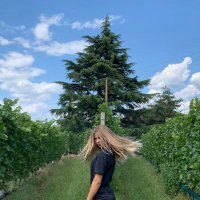 mara_trf_ (@mara_tarfusser) 's Twitter Profile