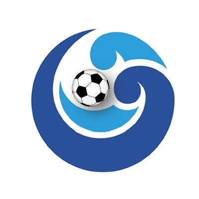 Football Wholesaler