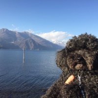 maurycastelli (@maurycastelli1) 's Twitter Profile