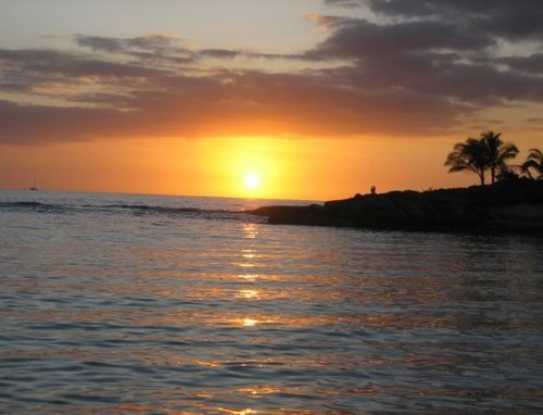 Miyu_Lani's profile picture. 