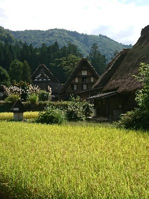 は〜⤵️年を重ねる事に、シワ・たるみが出てくる今日この頃😅でも年齢には負けたくない。ランと筋トレ💪して頑張ってます。スロット好きで週一しか行けませんが楽しく打っております👍