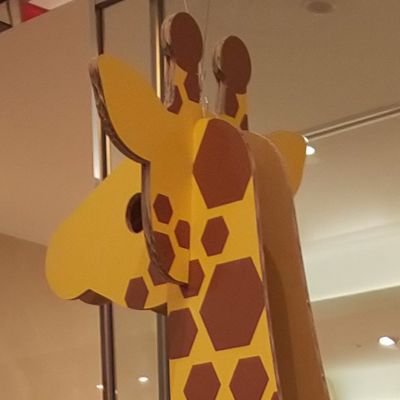 きりんたんさんのプロフィール画像