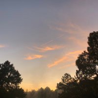 Emmanuel MEGNANGLO (@emegnanglo) 's Twitter Profile