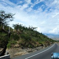 小　枝 (@millerami) Twitter profile photo