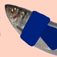 Evelyn Rogers 🐟 they/them 🐟 (@wow__then) 's Twitter Profile Photo Evelyn Rogers 🐟 they/them 🐟 (@wow__then) 's Twitter Profile Photo