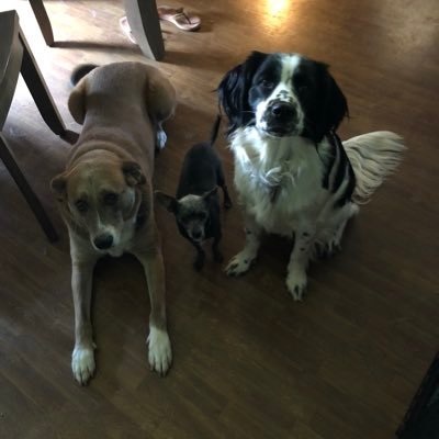 BlalockJeff's profile picture. 