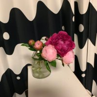 きら (@twinsnsingleton) 's Twitter Profile